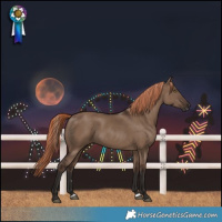 Horse Color:Liver Red Dun 