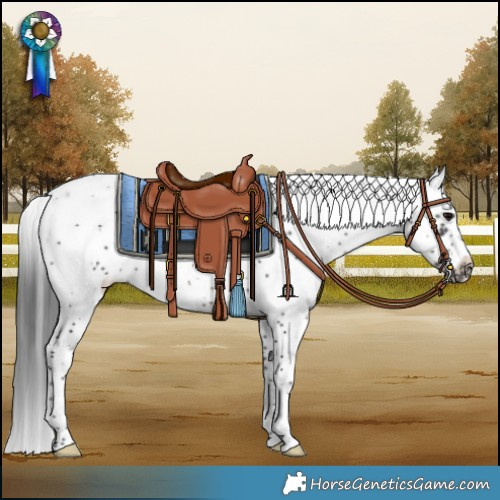 Horse Color:Black Sabino Frame