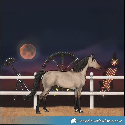 Horse Color:Liver Red Dun 