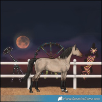 Horse Color:Liver Red Dun