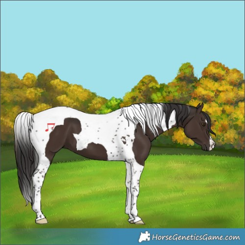 Horse Color:Liver Chestnut Tobiano 