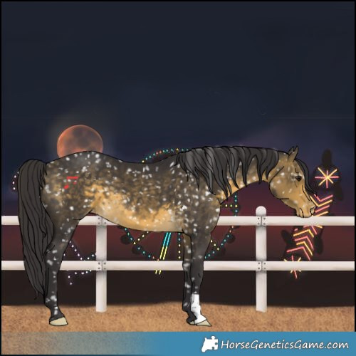 Horse Color:Buckskin Snowflake Varnish