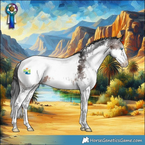 Horse Color:White Spotted Brown Splash Appaloosa 