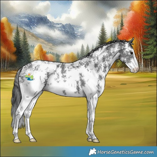 Horse Color:Black Sabino Snowflake Varnish 