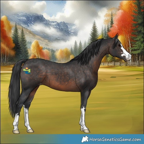 Horse Color:Brown Varnish 