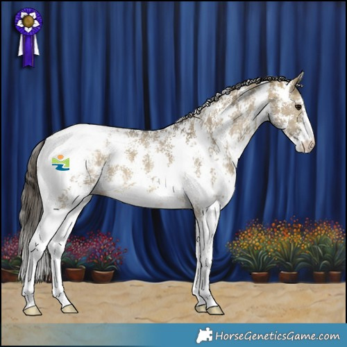 Horse Color:Buckskin Dun Sabino Appaloosa