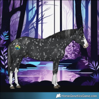 Horse Color:Black Splash Snowflake Varnish