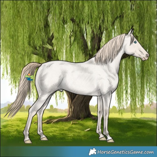 Horse Color:Smoky Creme Roan Dun