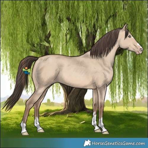 Horse Color:Amber Champagne Dun 