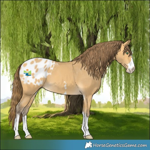 Horse Color:Amber Cream Champagne Blanket 