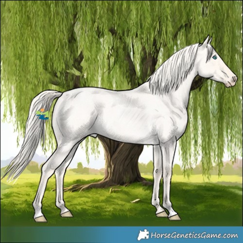 Horse Color:Cremello Roan Dun