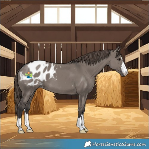 Horse Color:Smoky Grullo Blanket 