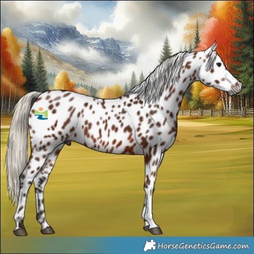 Horse Color:Powder White Gray Silver Bay Leopard