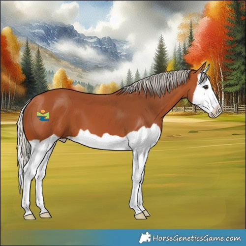 Horse Color:Silver Bay Splash