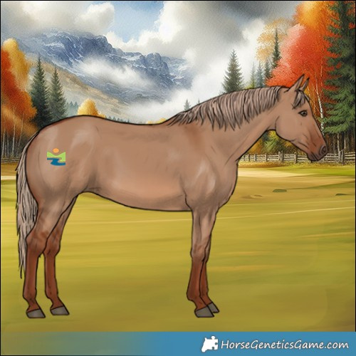 Horse Color:Red Dun