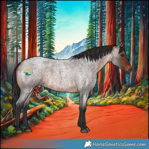Horse Color:Bay Roan