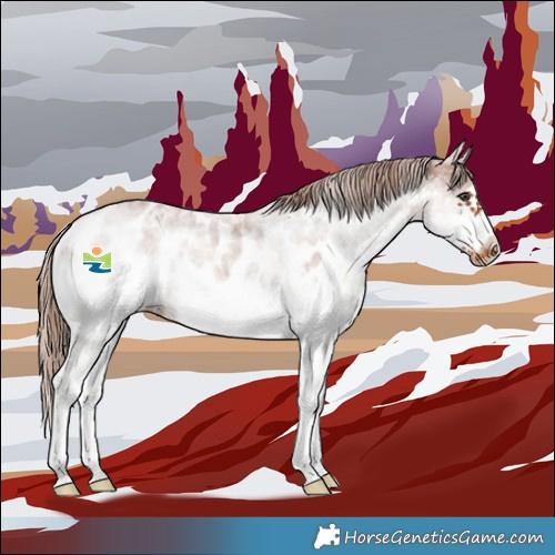 Horse Color:White Spotted Chestnut Frame Skewed LP Spotted