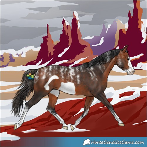 Horse Color:Powder White Bay Frame 