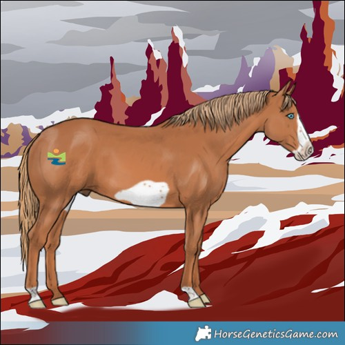 Horse Color:Chestnut Frame 