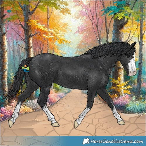 Horse Color:White Spotted Black