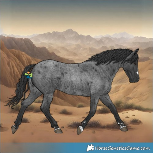 Horse Color:Blue Roan