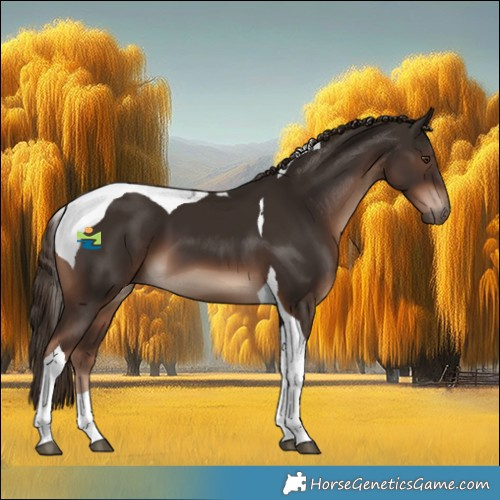 Horse Color:Liver Chestnut Tobiano 