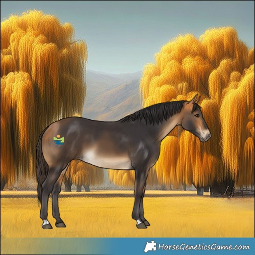 Horse Color:Buckskin 