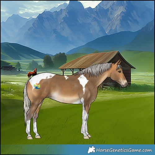 Horse Color:Silver Buckskin Tobiano 