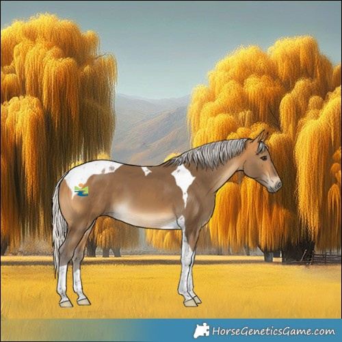 Horse Color:Silver Buckskin Tobiano