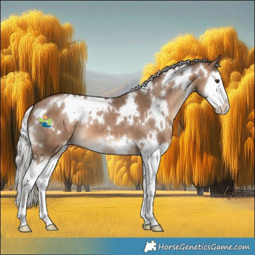Horse Color:White Spotted Silver Brown Dun Splash