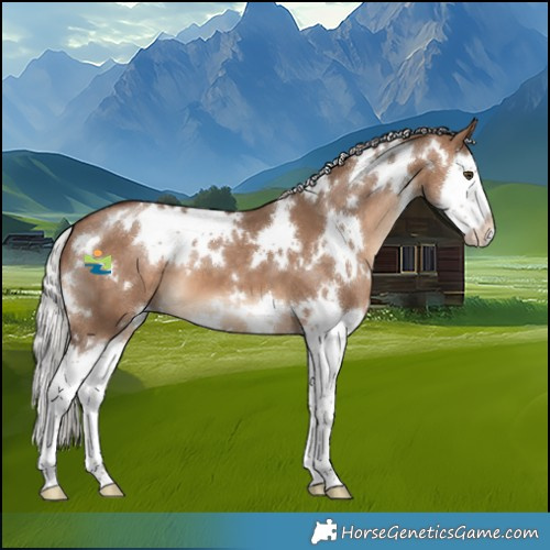 Horse Color:White Spotted Silver Brown Dun Splash 