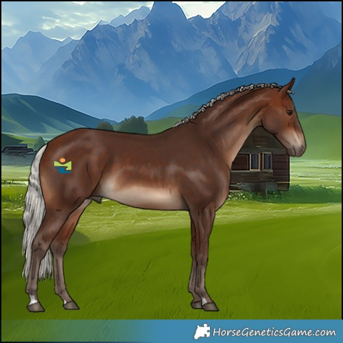 Horse Color:Silver Brown 