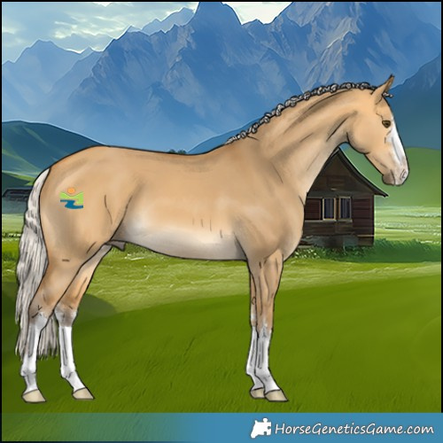 Horse Color:Silver Buckskin Dun