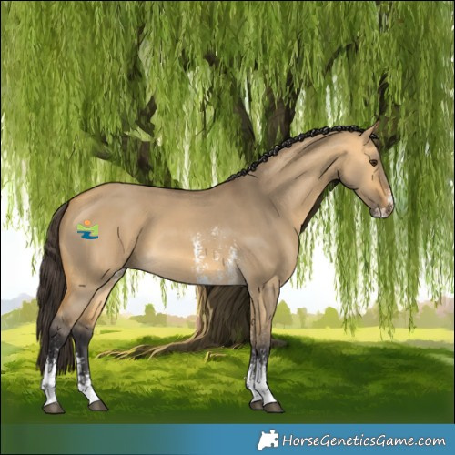 Horse Color:Buckskin Dun Sabino