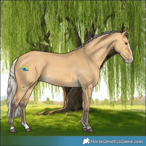 Horse Color:Silver Buckskin Dun Splash 