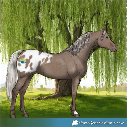 Horse Color:Silver Grullo Blanket 