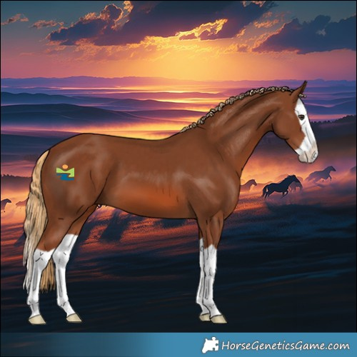 Horse Color:Chestnut Splash