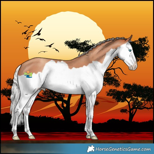 Horse Color:Silver Classic Champagne Splash Skewed LP Spotted 