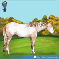 Horse Color:White Spotted Sable Champagne Pearl Frame Blanket Rabicano 