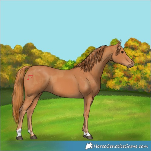 Horse Color:Chestnut  and Chestnut 