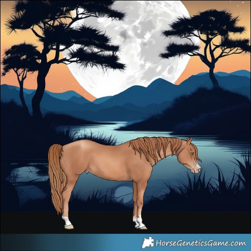 Horse Color:Gold Champagne