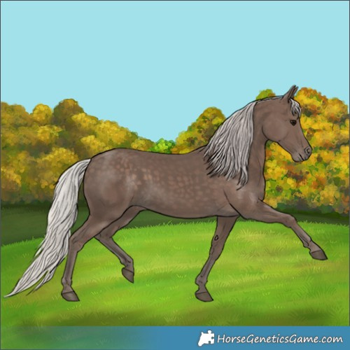 Horse Color:Silver Black 