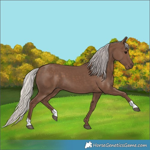 Horse Color:Silver Black 