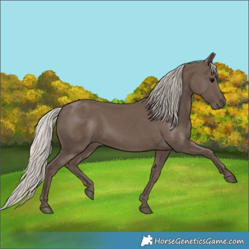Horse Color:Silver Black 