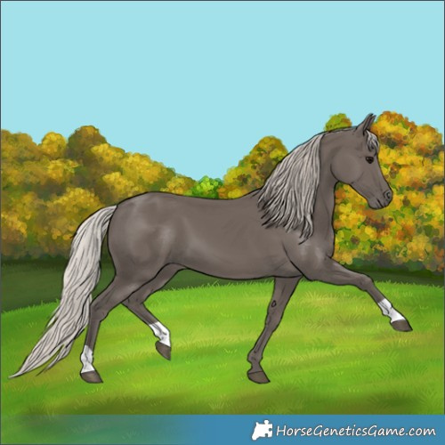 Horse Color:Silver Black 