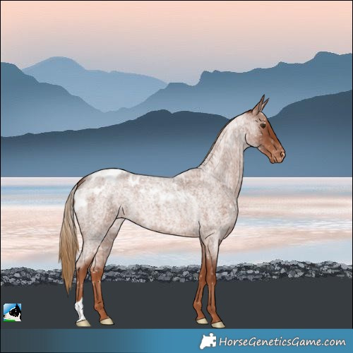 Horse Color:Red Roan Skewed LP Spotted 