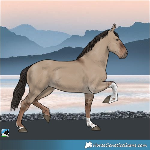 Horse Color:Liver Red Dun Tobiano 