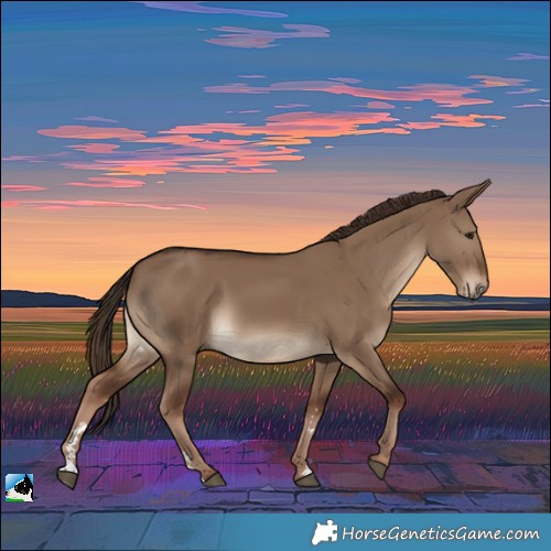 Horse Color:Liver Red Dun Rabicano 