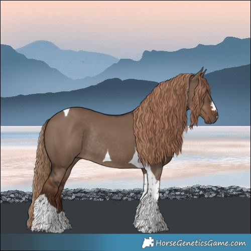 Horse Color:Liver Red Dun Tobiano Rabicano 