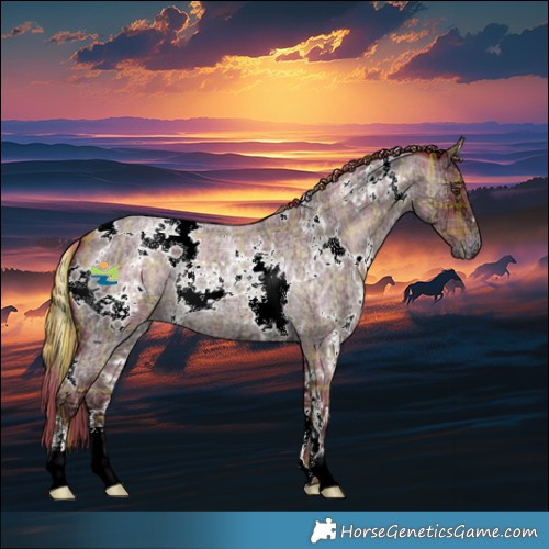 Horse Color:Watercolor Plaid  White Spotted Liver Red Ice Roan Appaloosa 